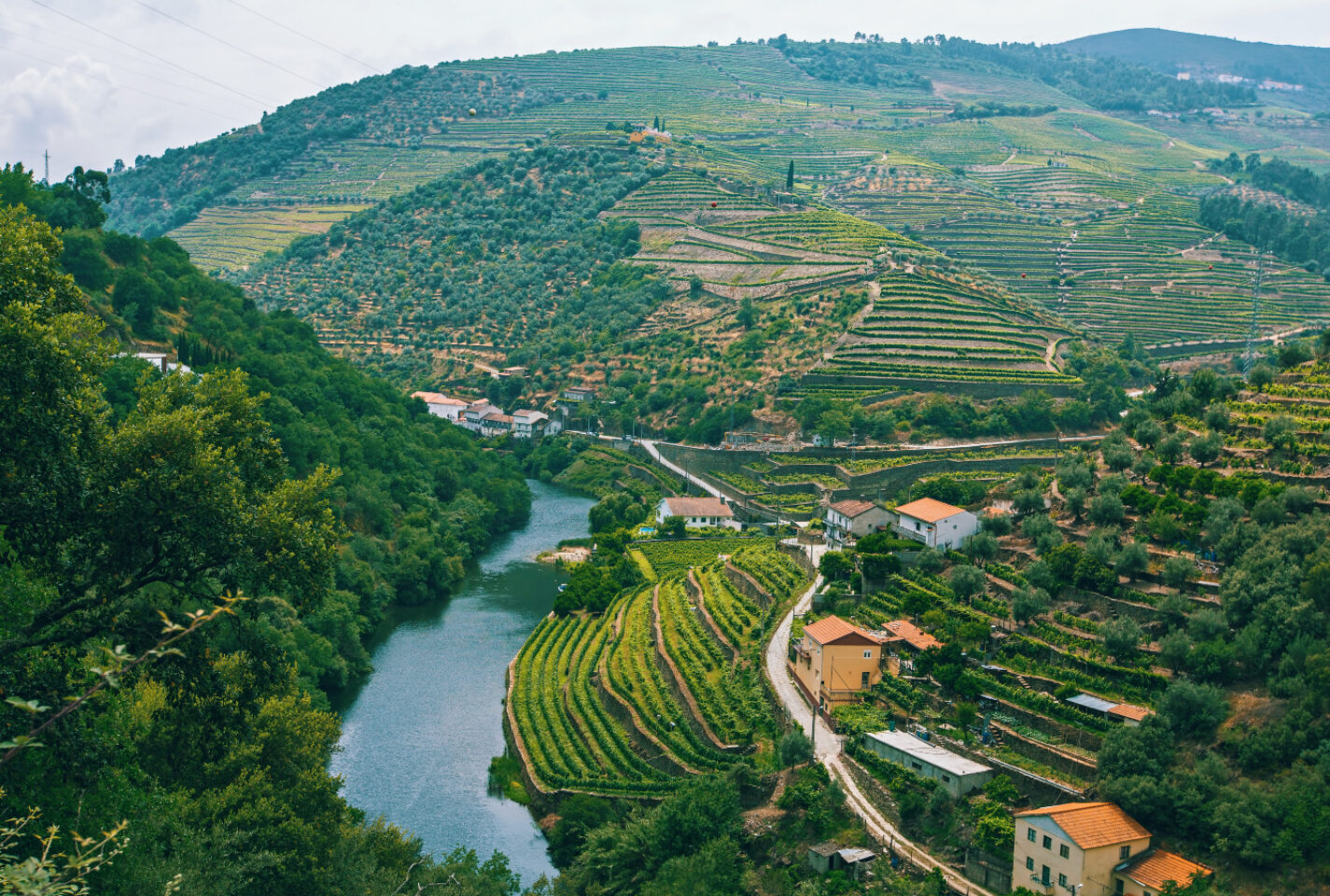Duoro River_Cropped